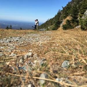 Meet your Posher, Nate